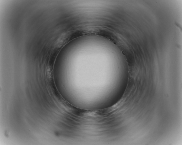 X0000097770086200803211746