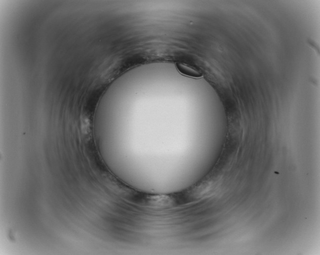 X0000097770087200803211746