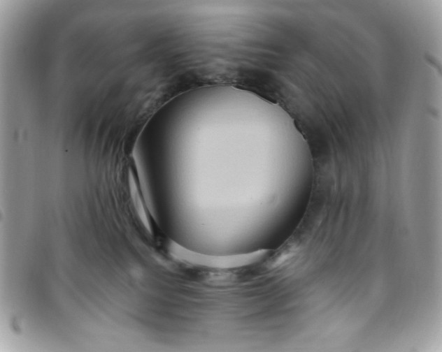 X0000097770088200803211746