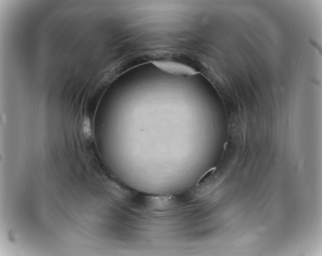 X0000097770089200803211746