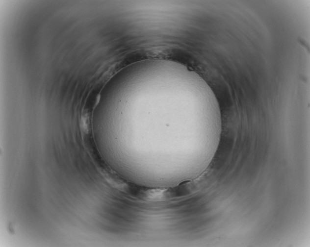 X0000097770090200803211746