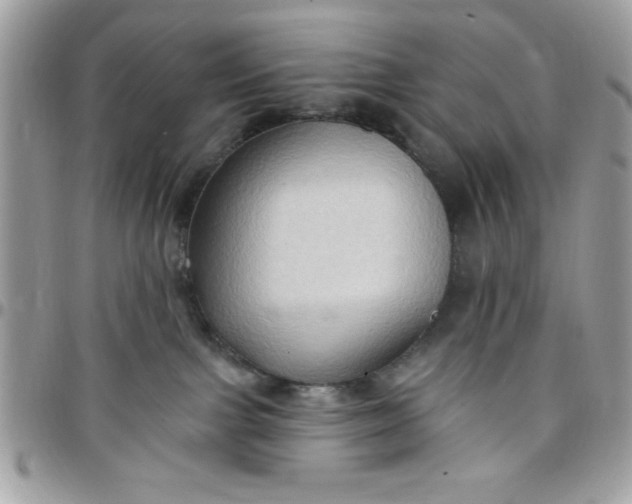 X0000097770091200803211746