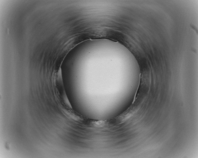 X0000097770092200803211746