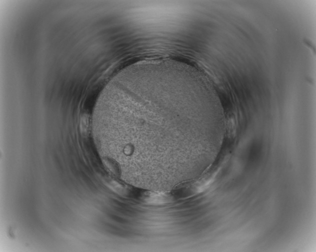 X0000097770093200803211746