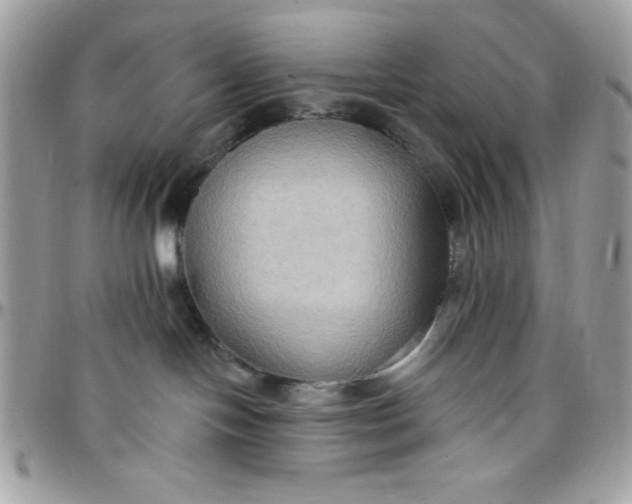 X0000097770094200803211746