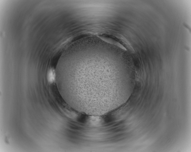 X0000097770095200803211746