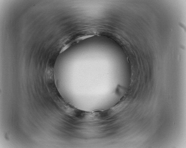 X0000097770096200803211746