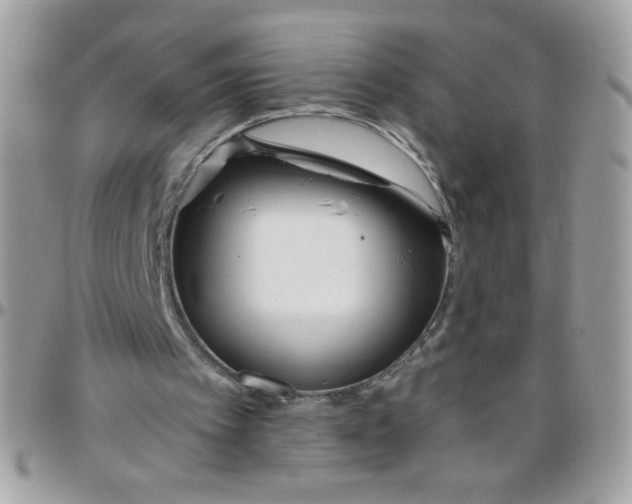 X0000097770097200803211745