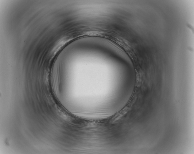 X0000097770098200803211745