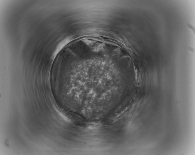 X0000097770099200803211745