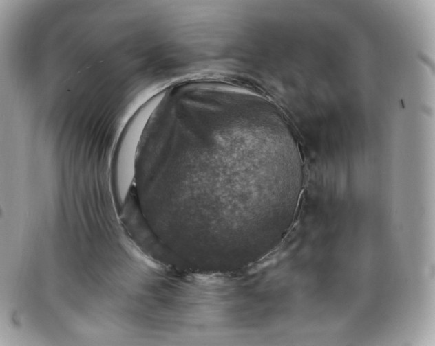 X0000097770100200803211745