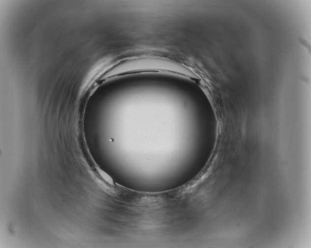 X0000097770101200803211745