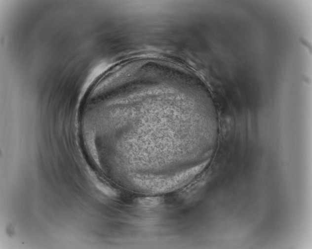 X0000097770102200803211745