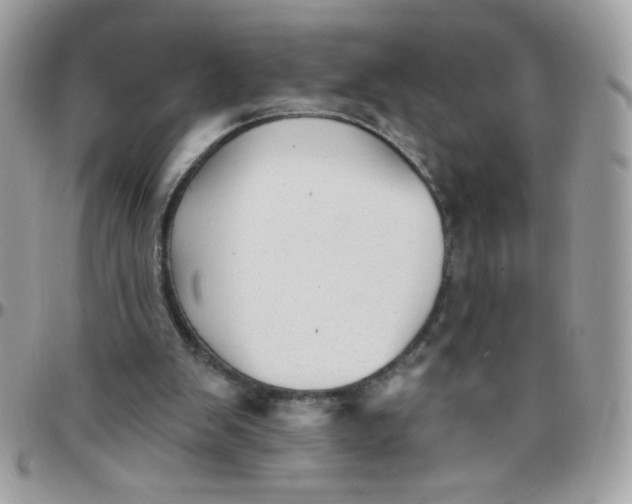 X0000097770103200803211745