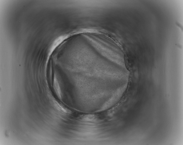 X0000097770104200803211745