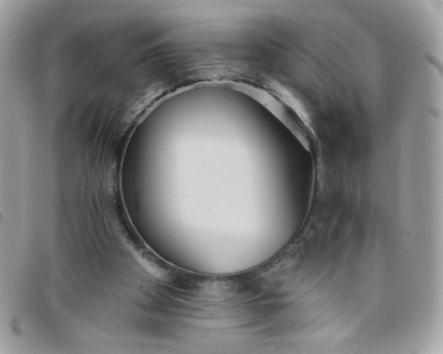 X0000097770105200803211745