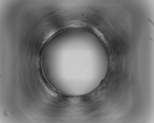 X0000097770106200803211745