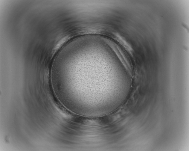 X0000097770107200803211745