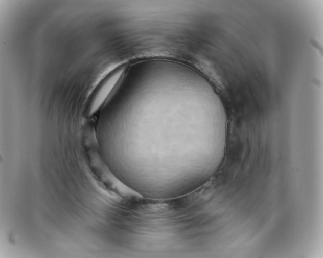 X0000097770108200803211745