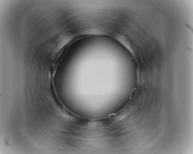 X0000097770109200803211745