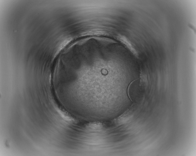 X0000097770110200803211745