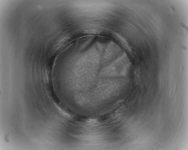 X0000097770114200803211745