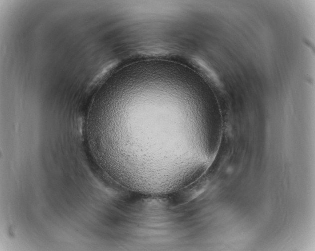 X0000097770115200803211745