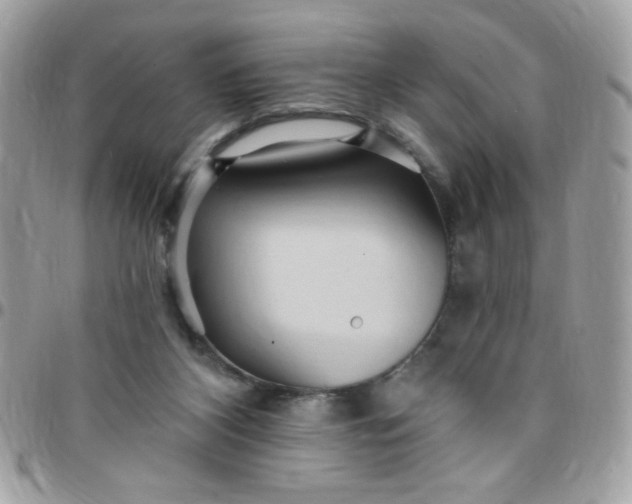 X0000097770116200803211745