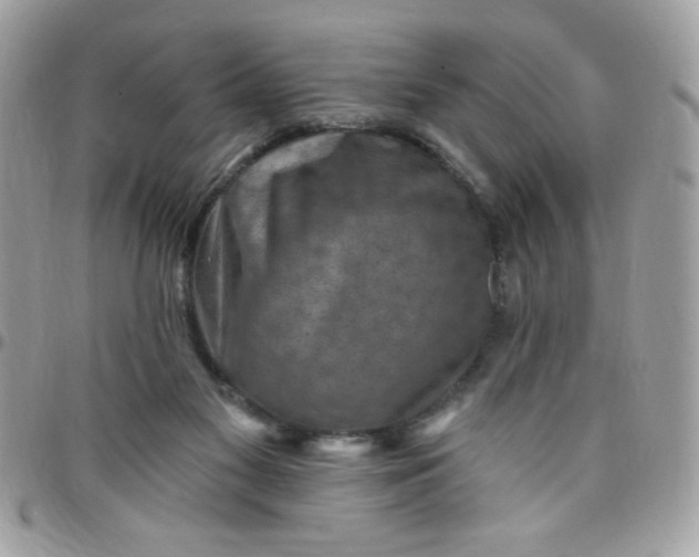 X0000097770117200803211745