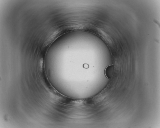 X0000097770118200803211745