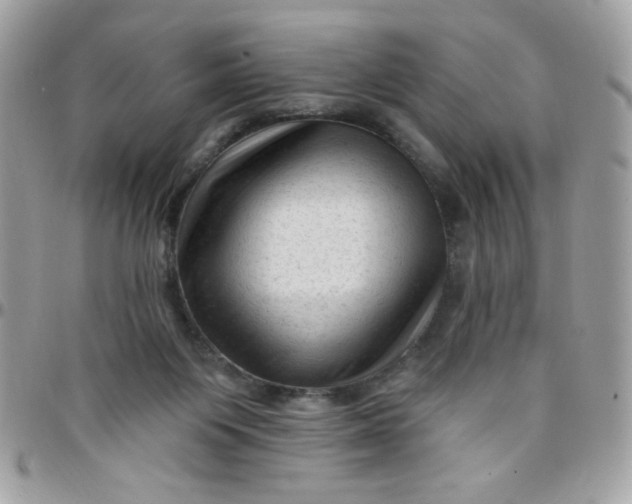 X0000097770119200803211745