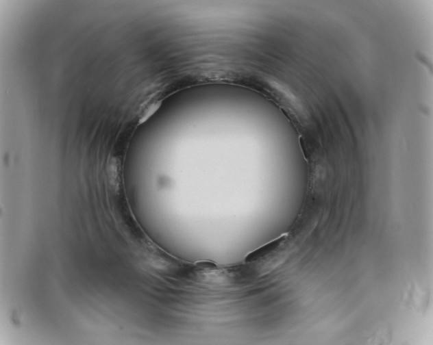 X0000097770121200803211745