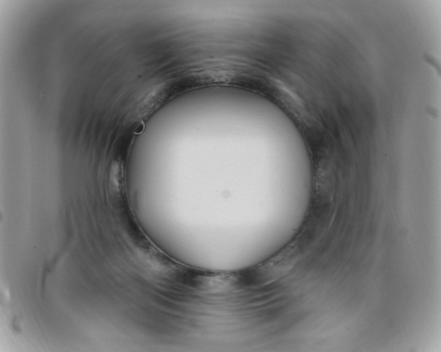 X0000097770122200803211745