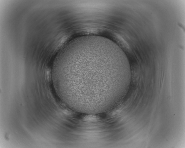 X0000097770123200803211745