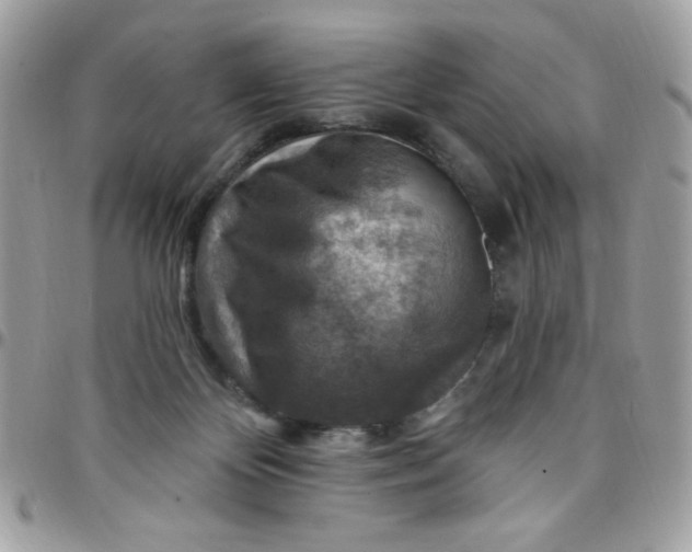 X0000097770124200803211745