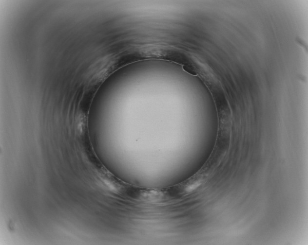 X0000097770125200803211745