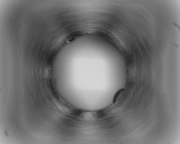 X0000097770126200803211745