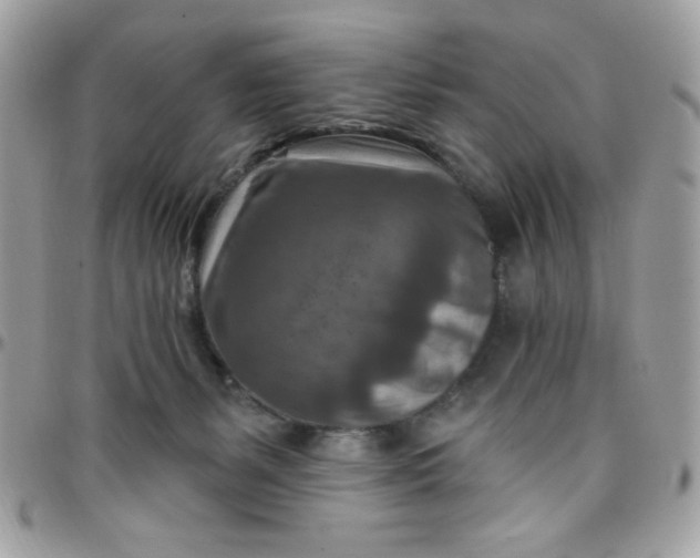 X0000097770127200803211745