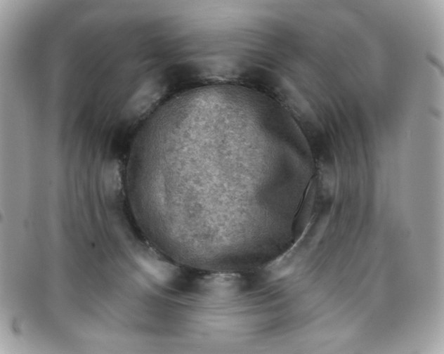 X0000097770128200803211745