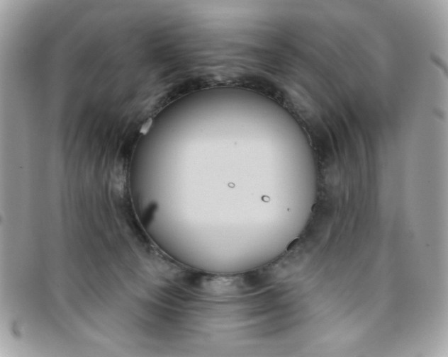 X0000097770129200803211745