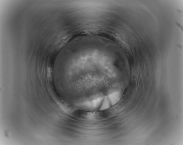 X0000097770130200803211745