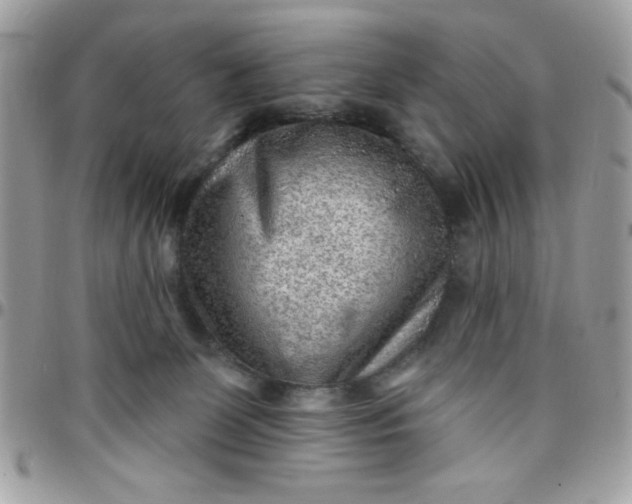 X0000097770131200803211745