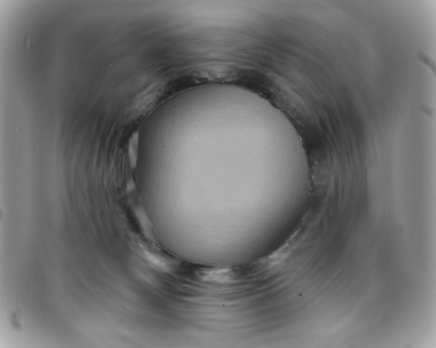 X0000097770132200803211745