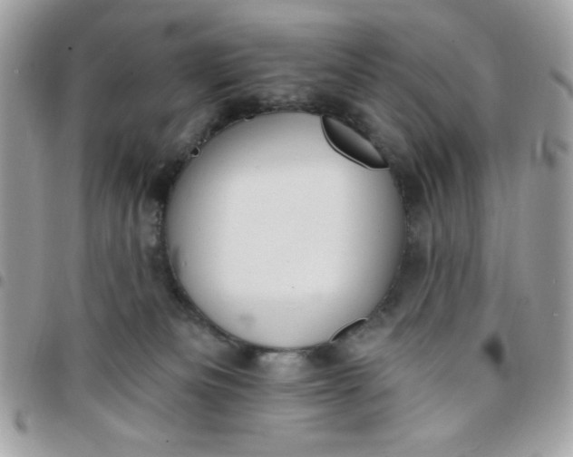 X0000097770133200803211745