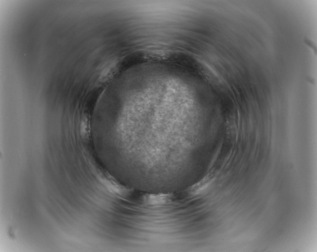 X0000097770134200803211745