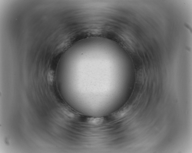 X0000097770135200803211745