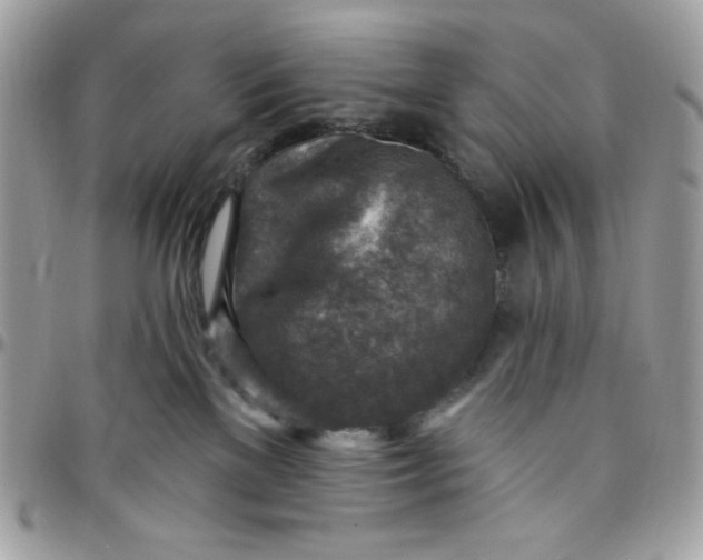 X0000097770137200803211745