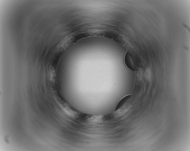 X0000097770138200803211745