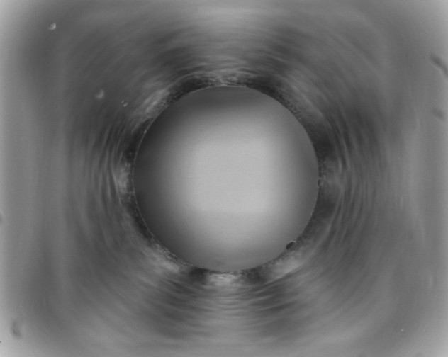 X0000097770139200803211745