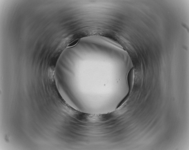 X0000097770142200803211745